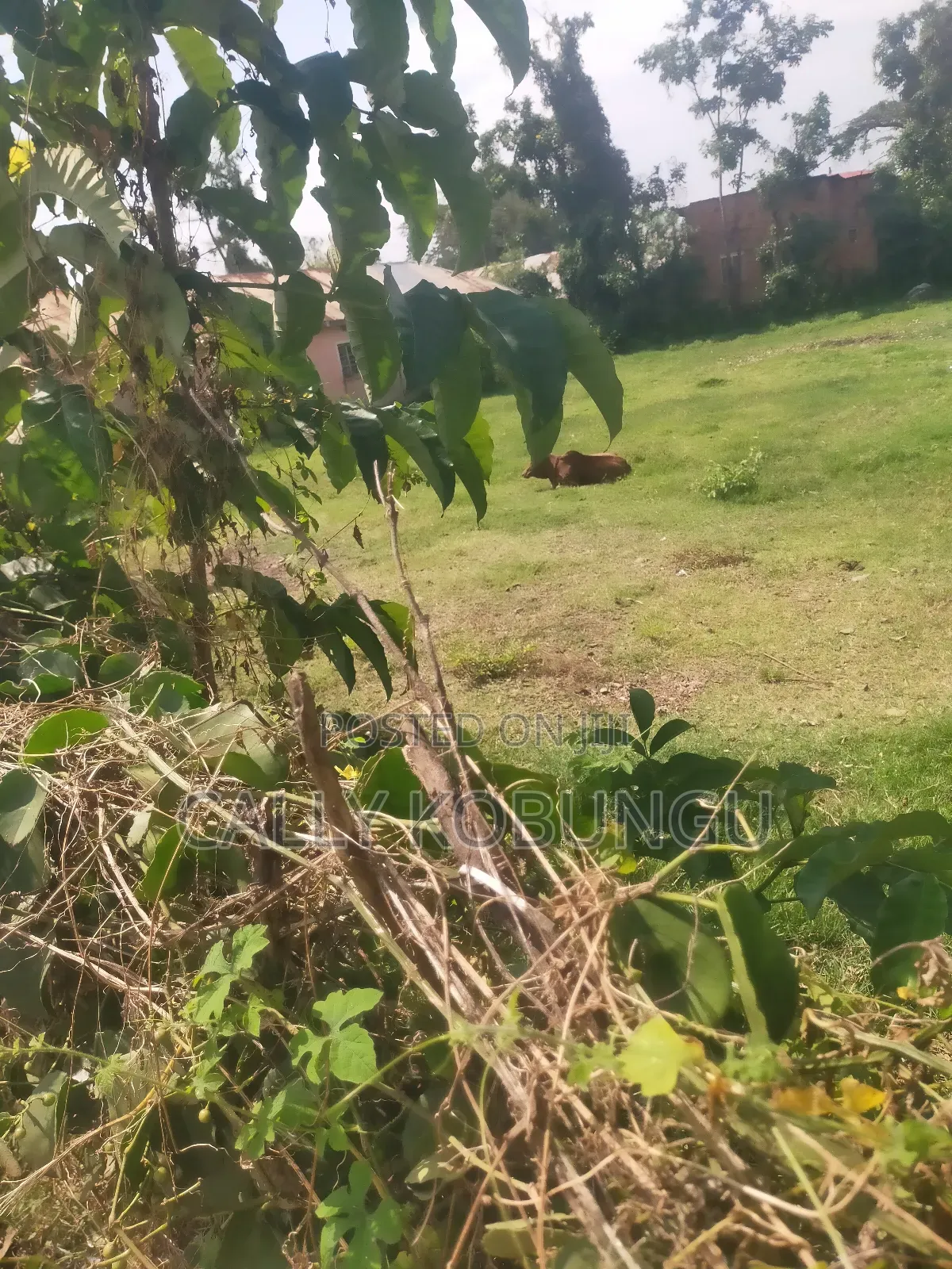 0.1 Ha in Kisumu Nyalenda in Nyalenda B