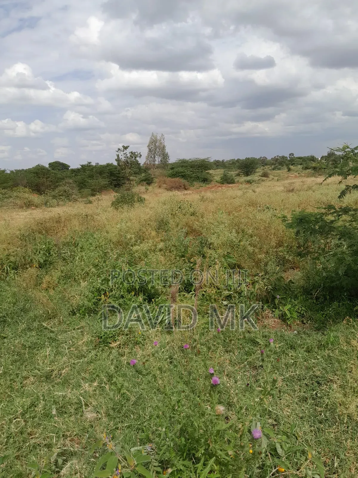 Land 115 Acres for Sale in Kenyatta Road / Theta 