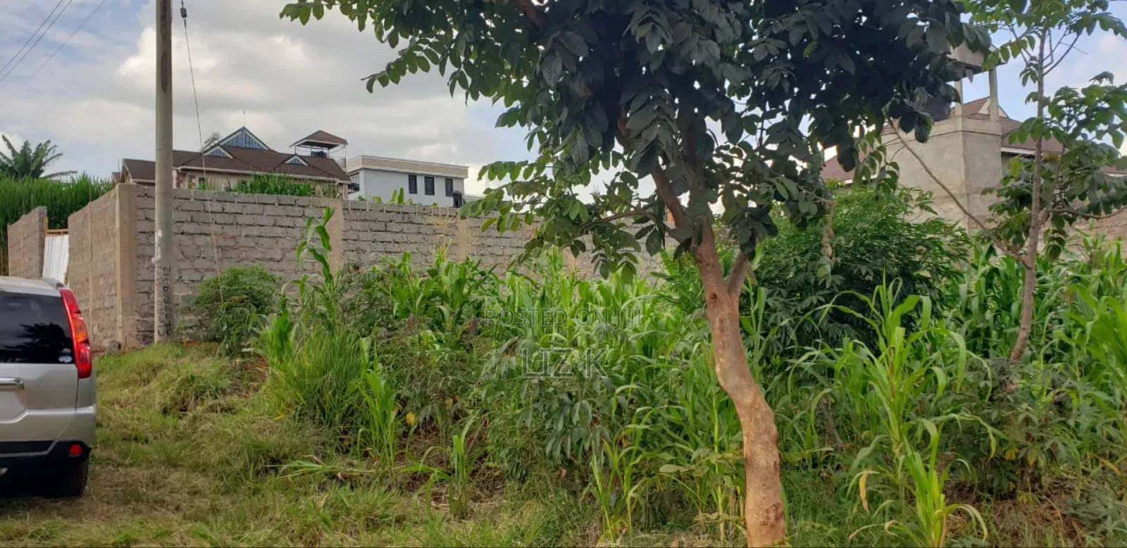 50x100 Residential Plots in Mugutha in Ruiru