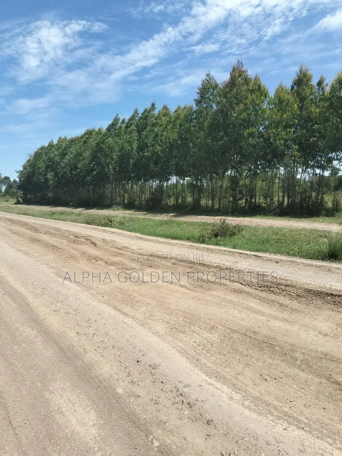 Olpajeta, 2 Acre Sitting on the Olpajeta Murrum Road in Tigithi