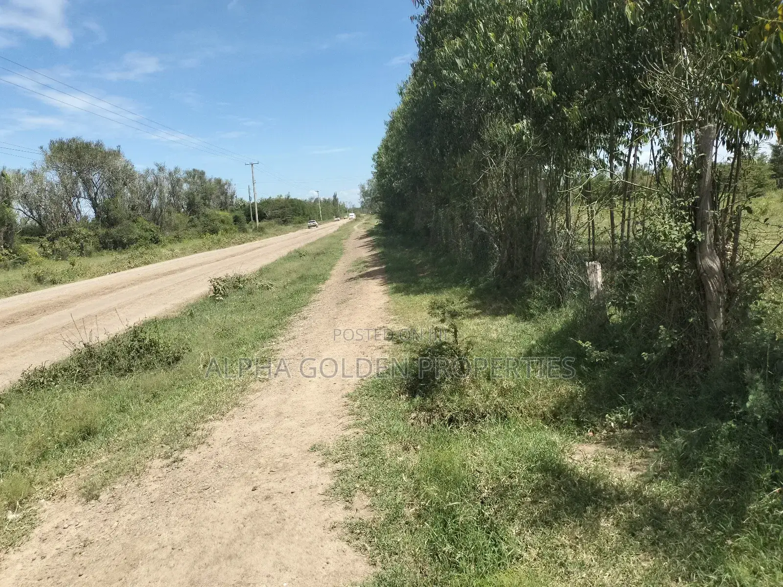 Olpajeta, 2 Acre Sitting on the Olpajeta Murrum Road in Tigithi