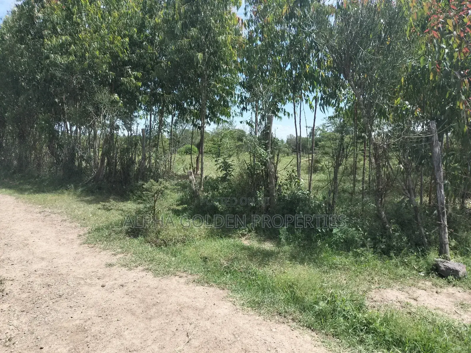 Olpajeta, 2 Acre Sitting on the Olpajeta Murrum Road in Tigithi