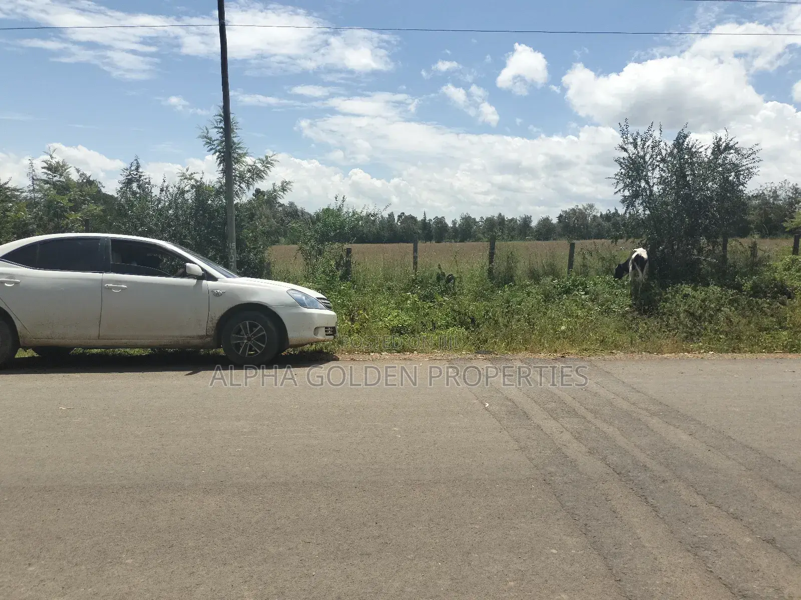 Nanyuki Airstrip, 4 Acres on Tarmac in Gakawa