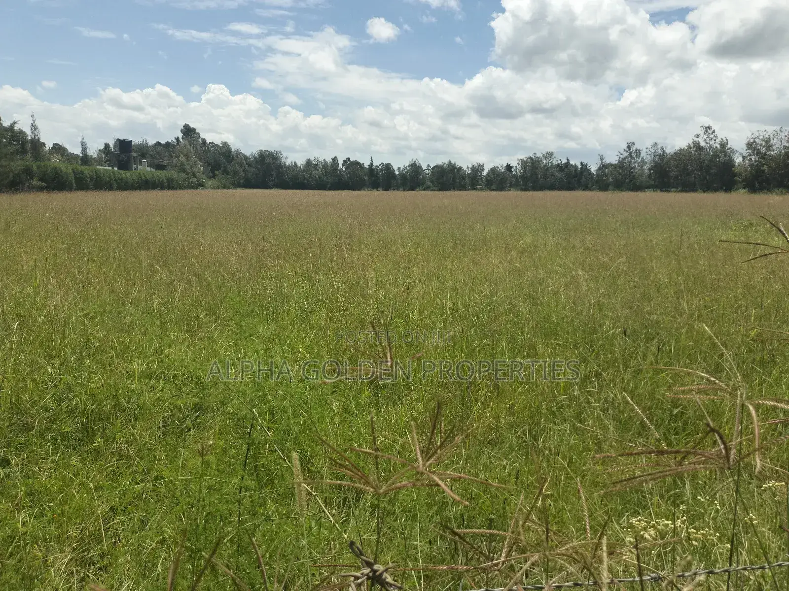 Nanyuki Airstrip, 4 Acres on Tarmac in Gakawa