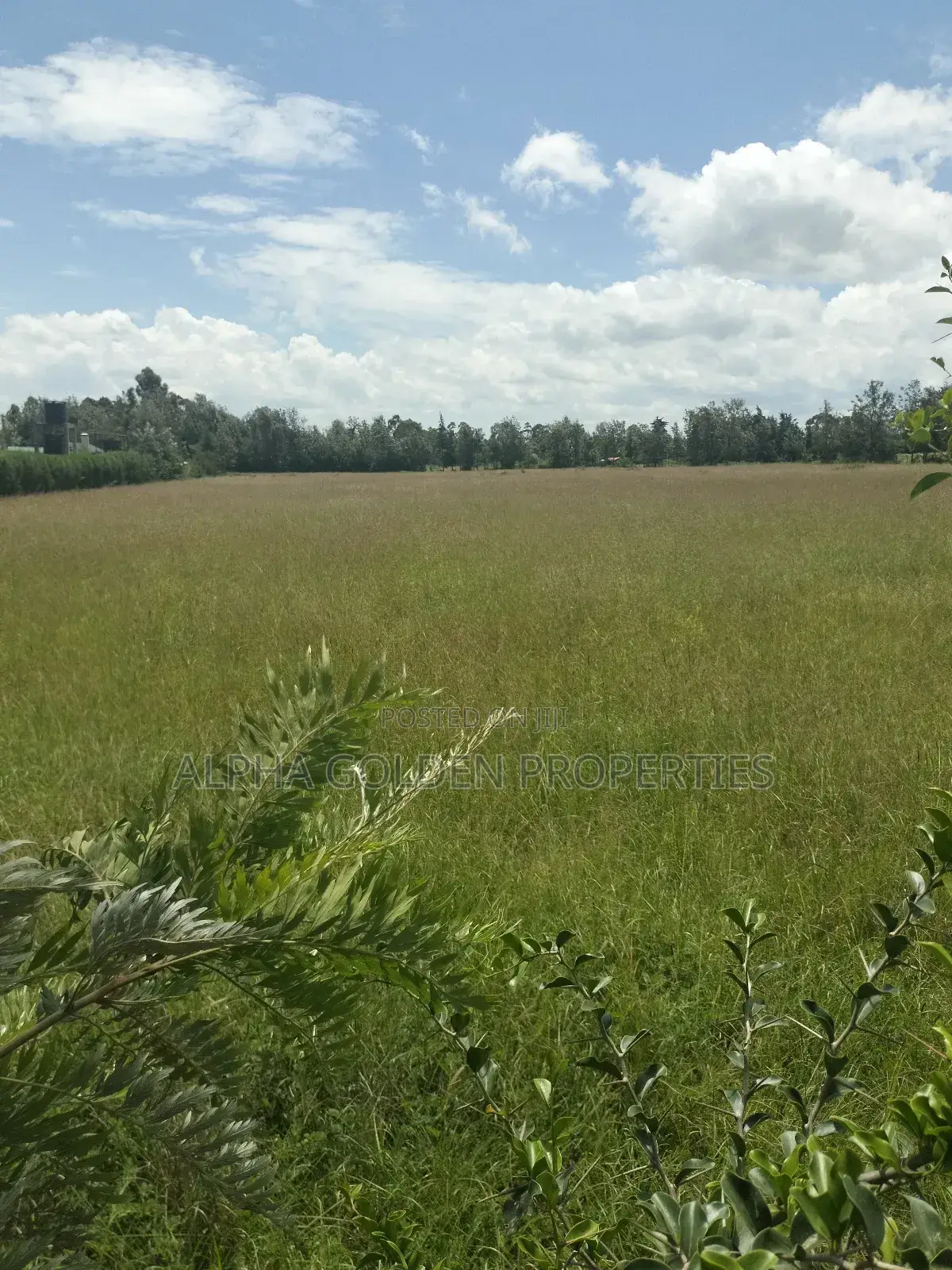 Nanyuki Airstrip, 4 Acres on Tarmac in Gakawa
