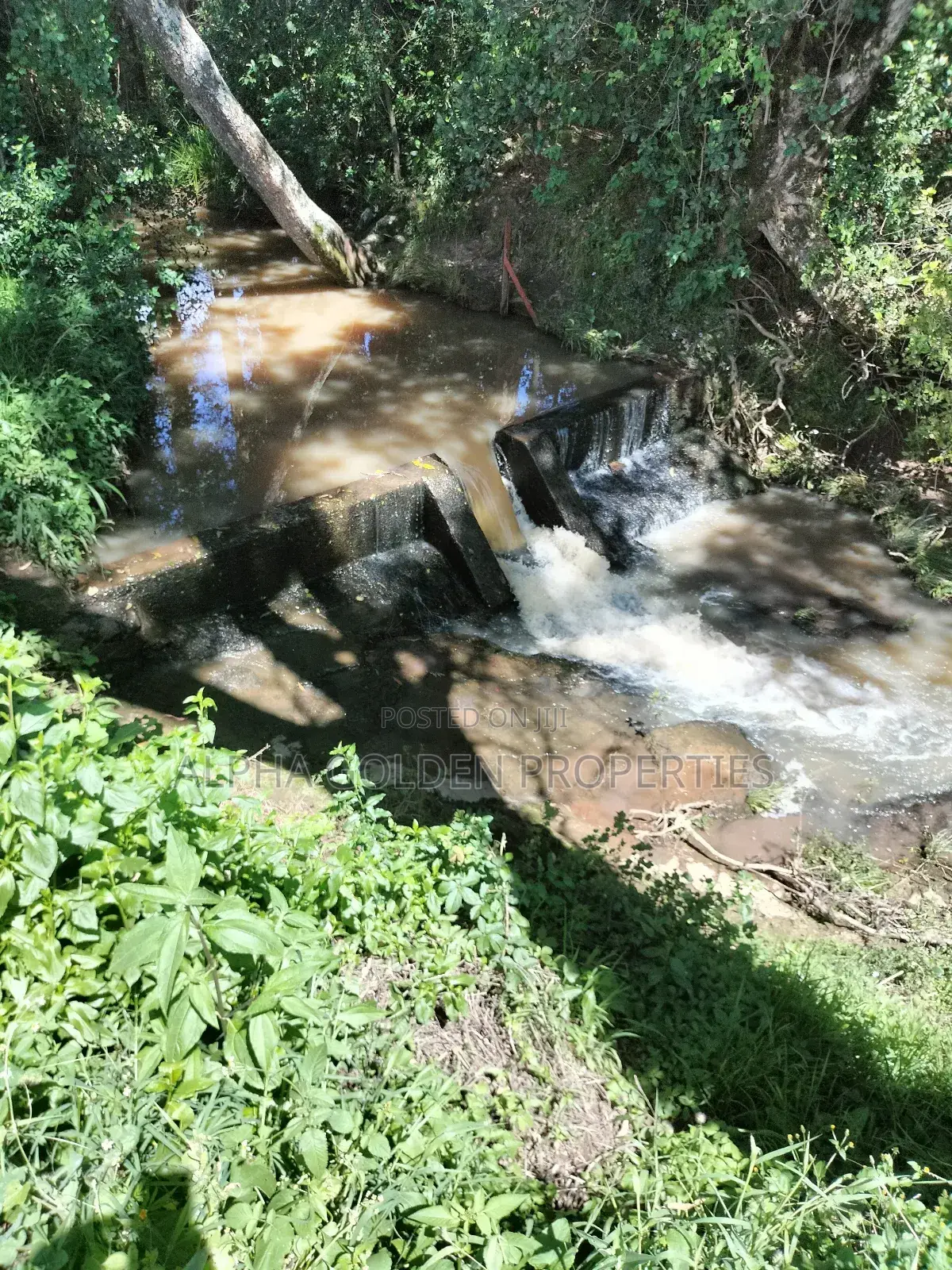 Nanyuki, 3 Acres Touching River in Gakawa