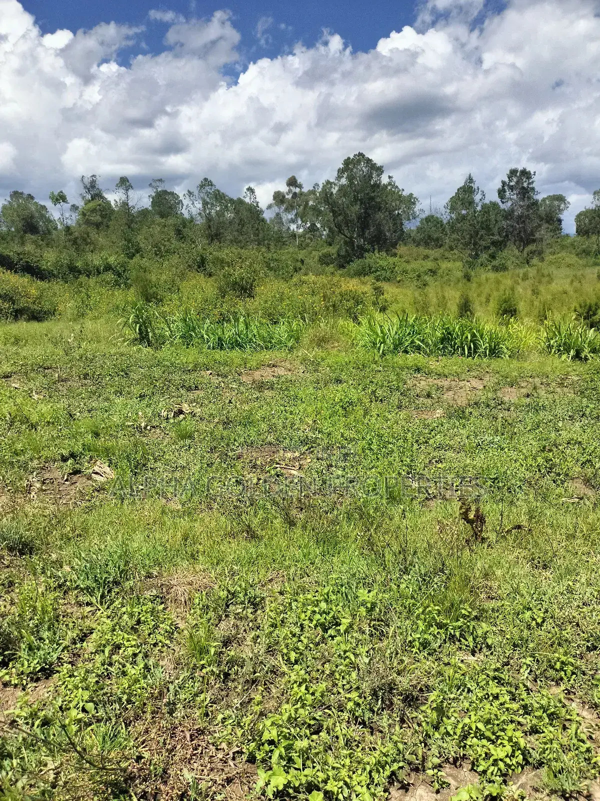 Nanyuki, 3 Acres Touching River in Gakawa