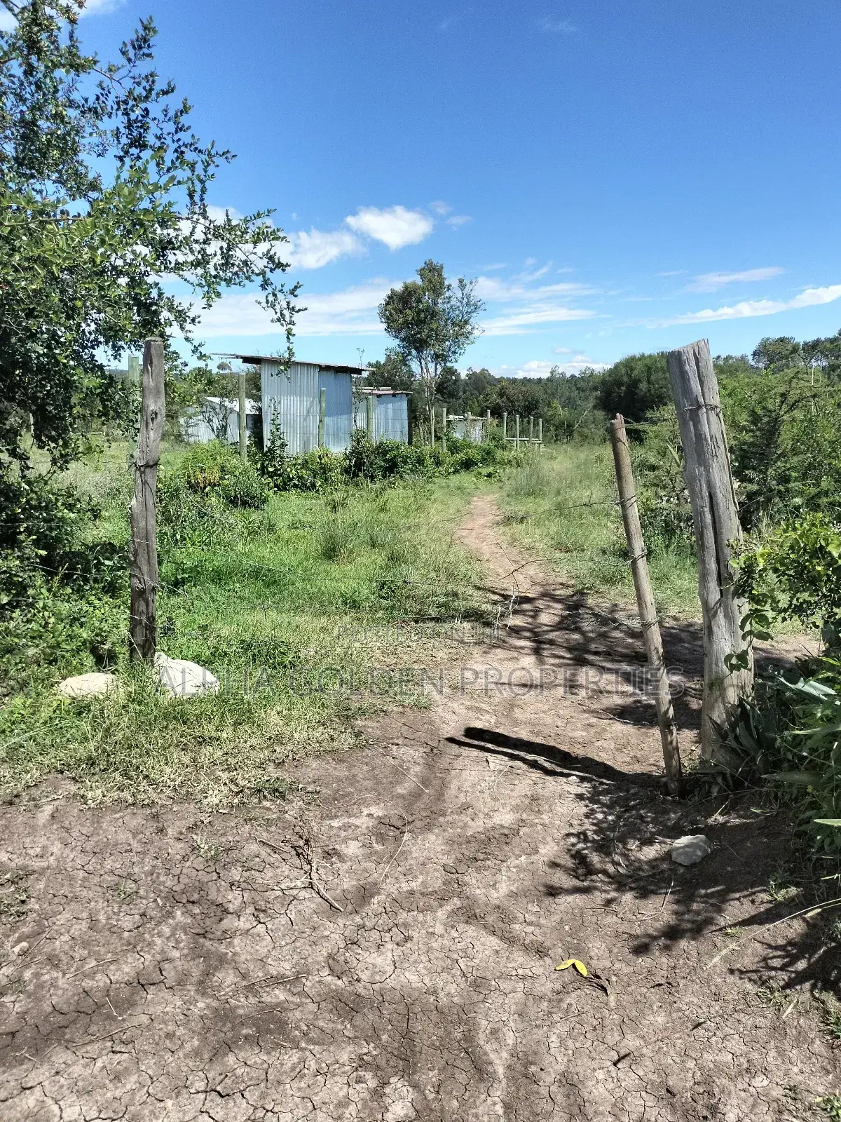 Nanyuki, 3 Acres Touching River in Gakawa