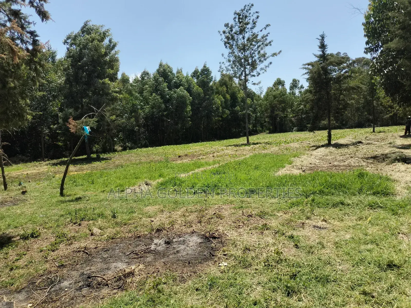 Nanyuki , 8 Acres Touching Tarmac and River in Gakawa