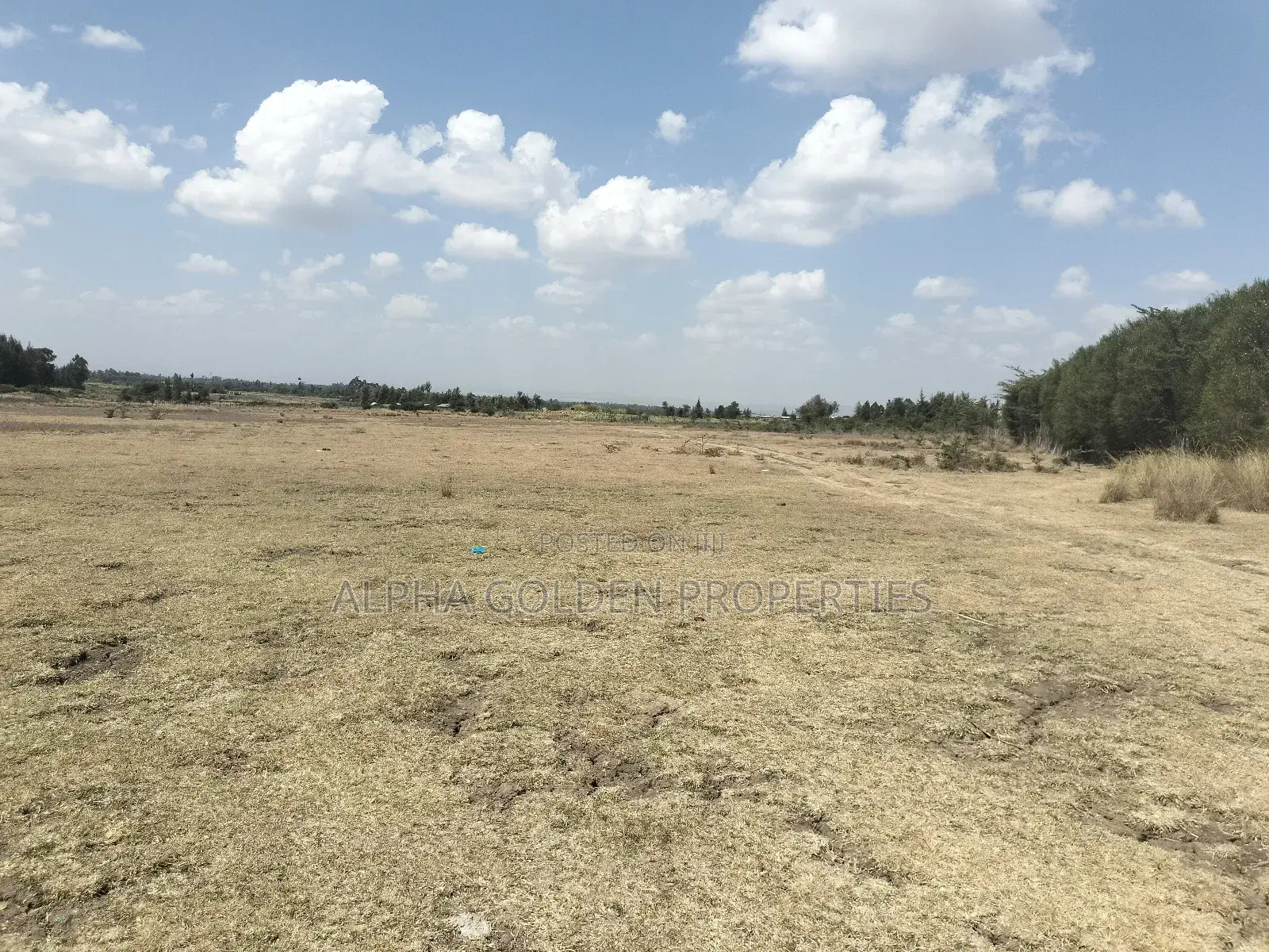 Nyahururu 18 Acres Land in Bahati / Laikipia Central