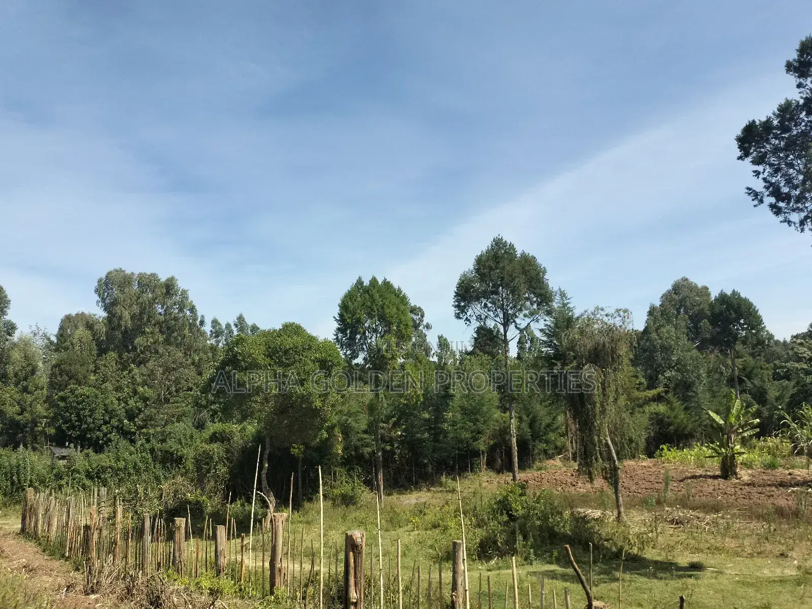 Nanyuki 11 Acres Near Mt Kenya in Gakawa