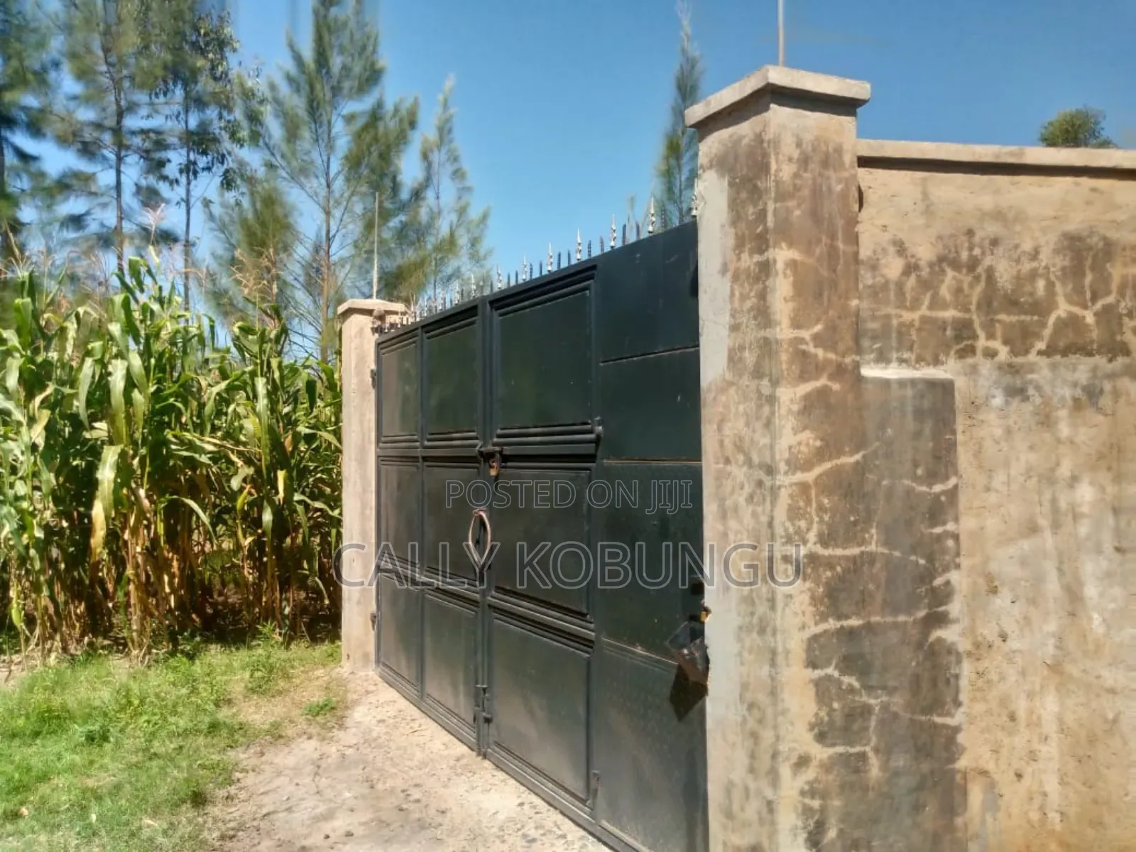 3bdrm Bungalow in Chulaimbo, Daraja Mbili for sale in Daraja Mbili