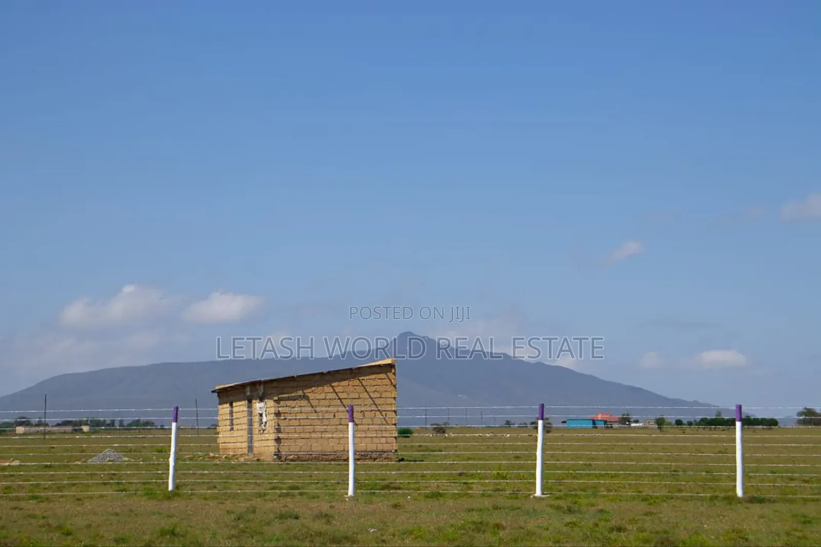 Land Near the Highway, 50 by 100 Ft , in Lake View