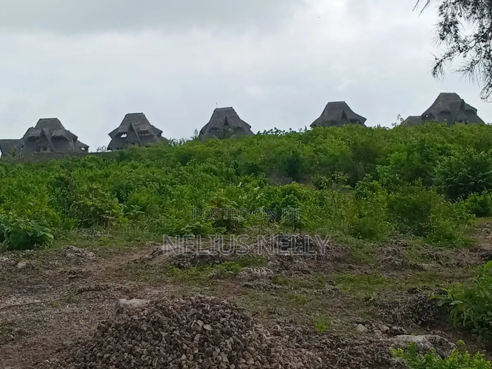 Watamu 2nd Row Beach Plots for Sale in Watamu