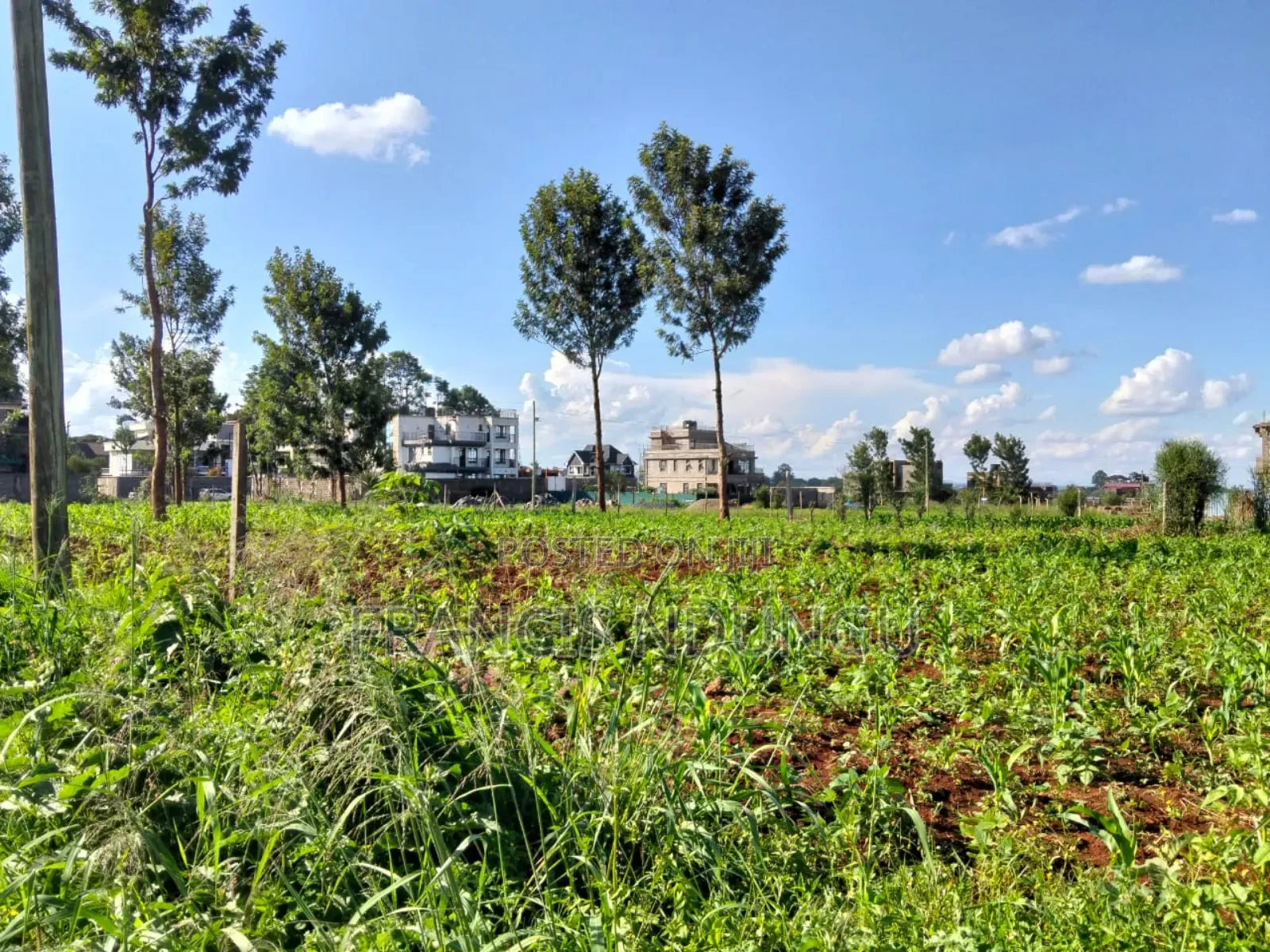 Plots Available for Sale Kiora Estate Kiambu Township in Tinganga