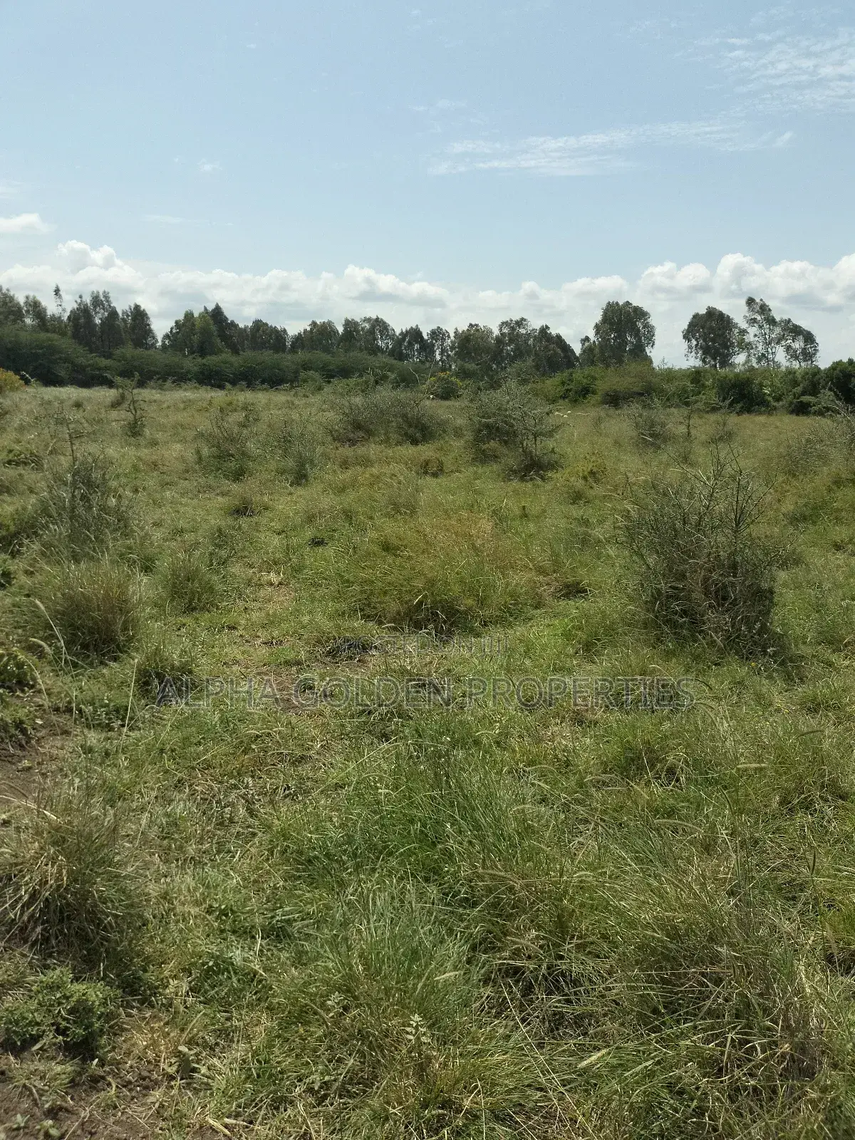Olpajeta 2 Acres Touching It's Fence in Tigithi