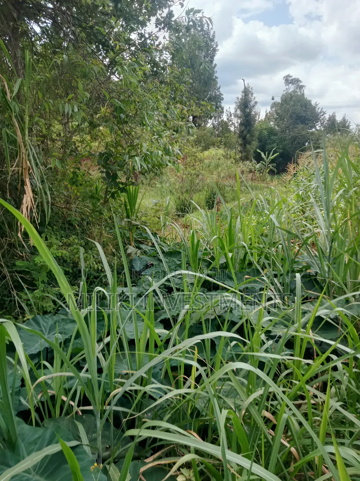 1 Acre Land for Sale at Makuyu -Mihang'0 in Makuyu