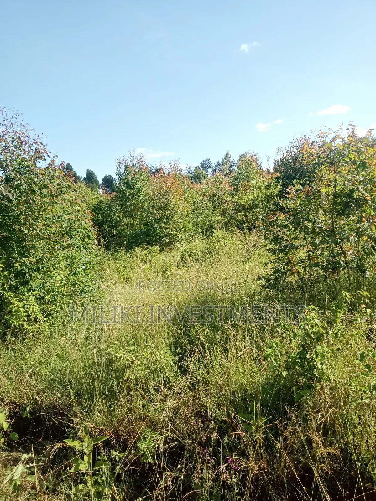 2 Acres on Sale at Makuyu-Gathaitì. in Makuyu