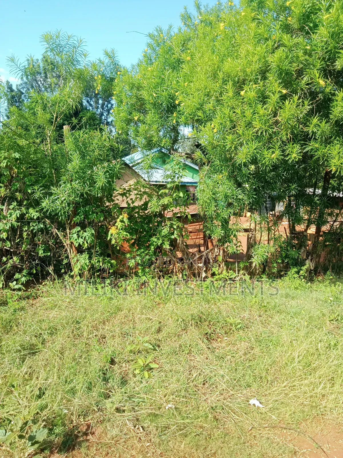 2 Acres on Sale at Makuyu-Gathaitì. in Makuyu