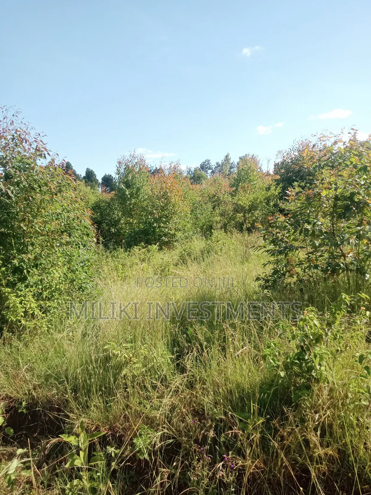 2 Acres on Sale at Makuyu-Gathaitì. in Makuyu