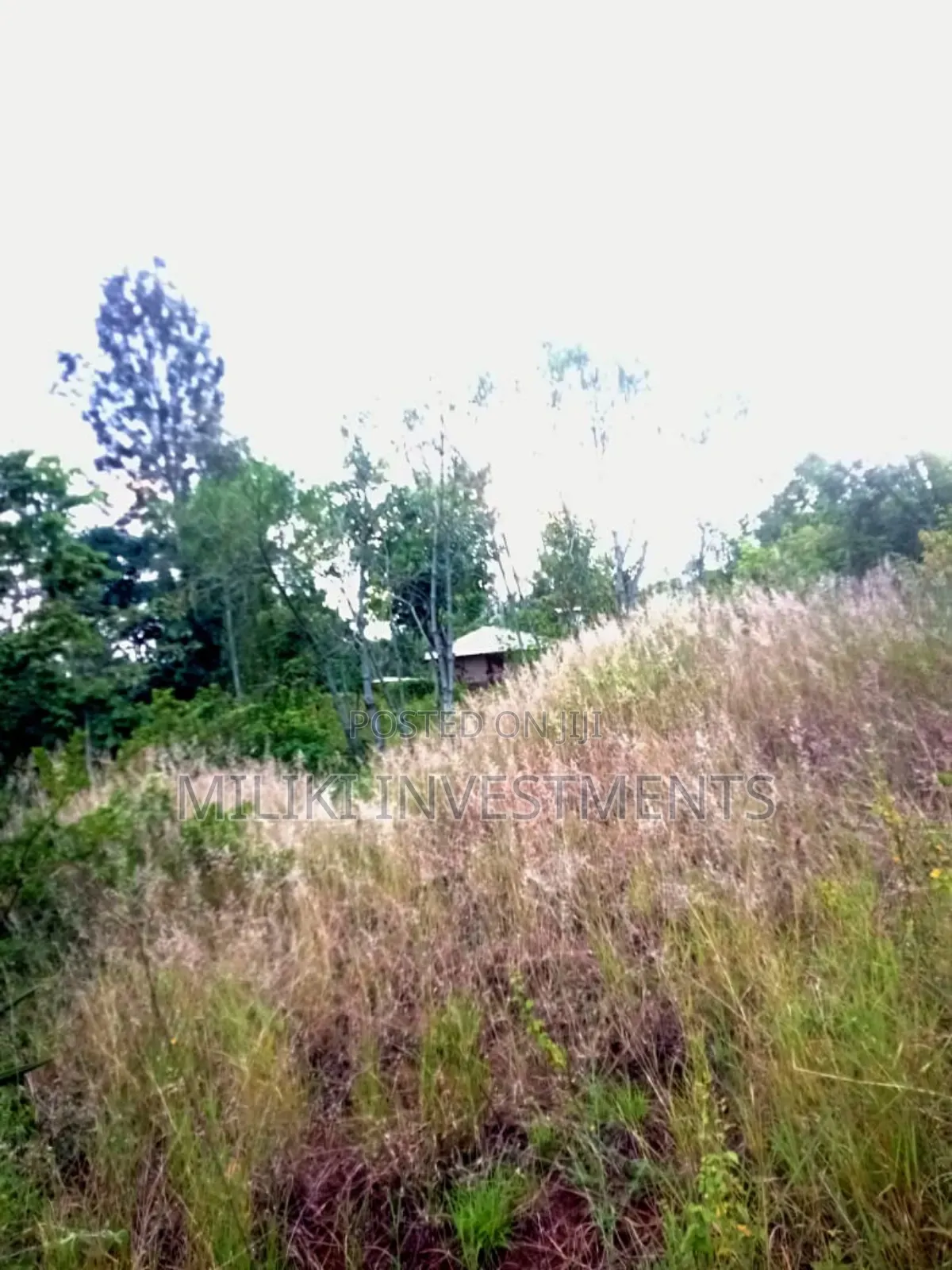 An Acre Land Is on Sale at Kahuho -Sabasaba in Saba Saba
