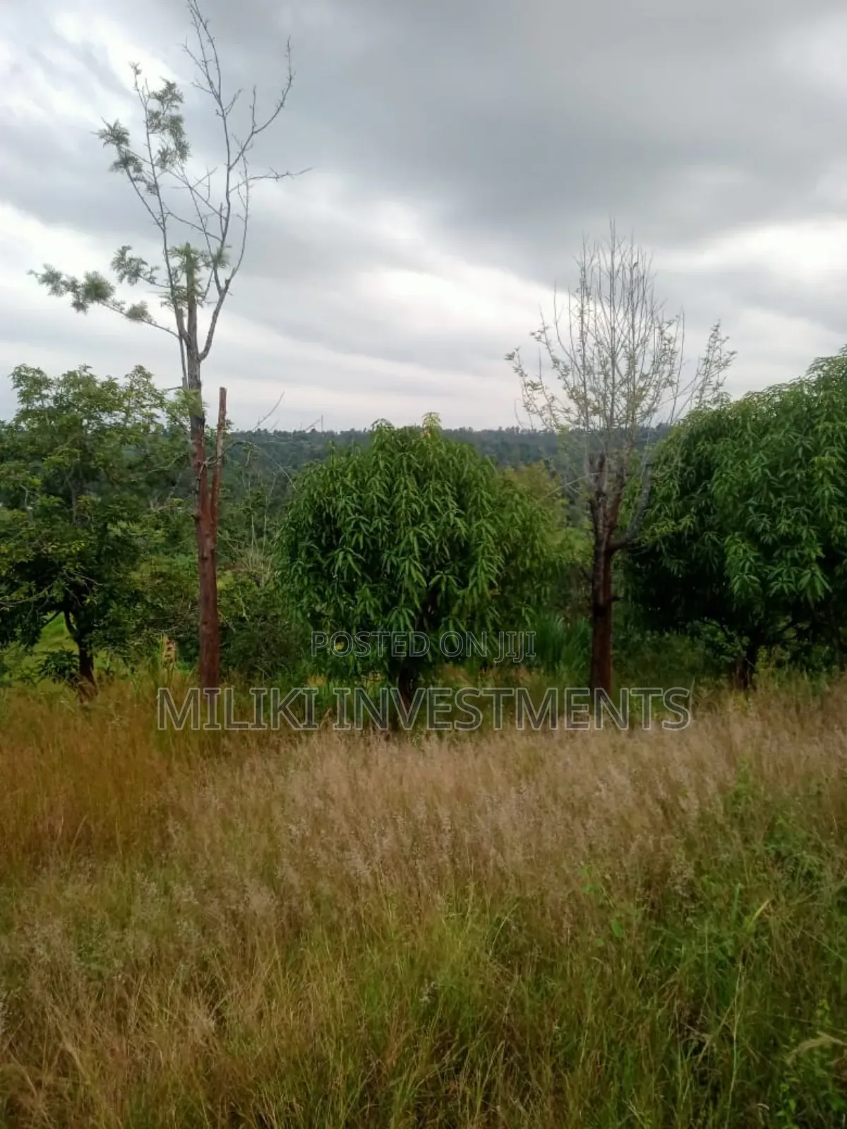 An Acre Land Is on Sale at Kahuho -Sabasaba in Saba Saba