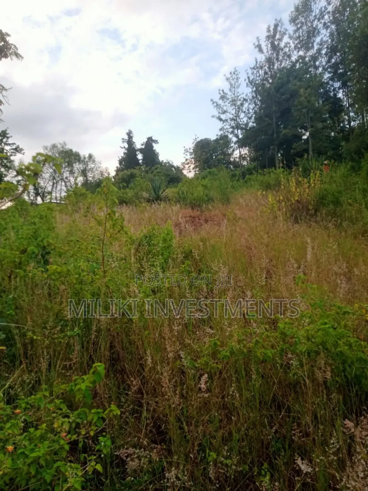 An Acre Land Is on Sale at Kahuho -Sabasaba in Saba Saba
