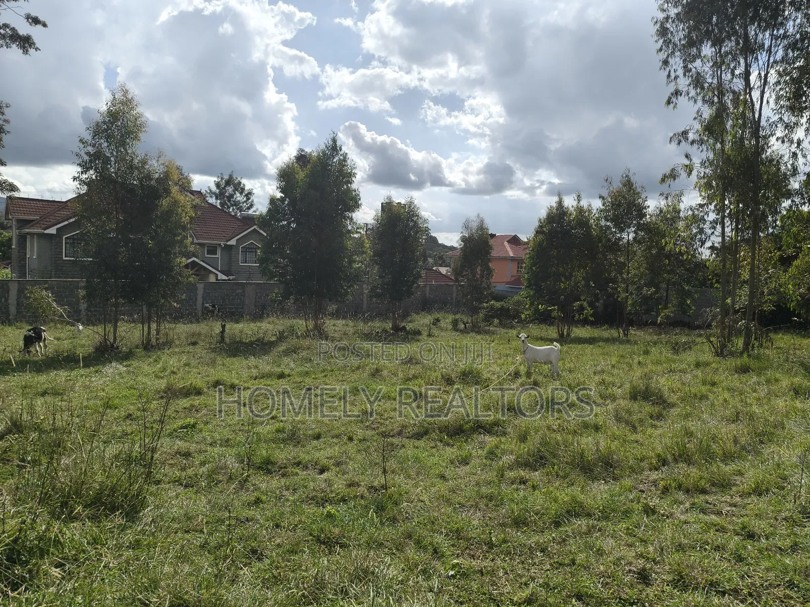 Residential Quarter Acre Plot in Ngong, Olkeri Near Tarmac in Ol Keri