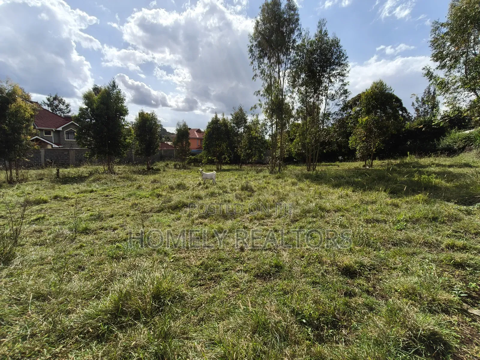 Residential Quarter Acre Plot in Ngong, Olkeri Near Tarmac in Ol Keri