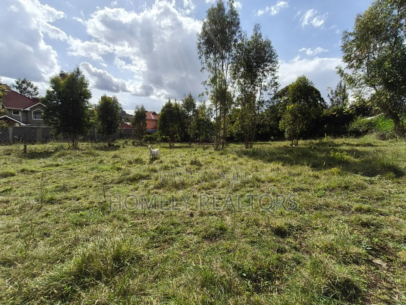 Residential Quarter Acre Plot in Ngong, Olkeri Near Tarmac in Ol Keri
