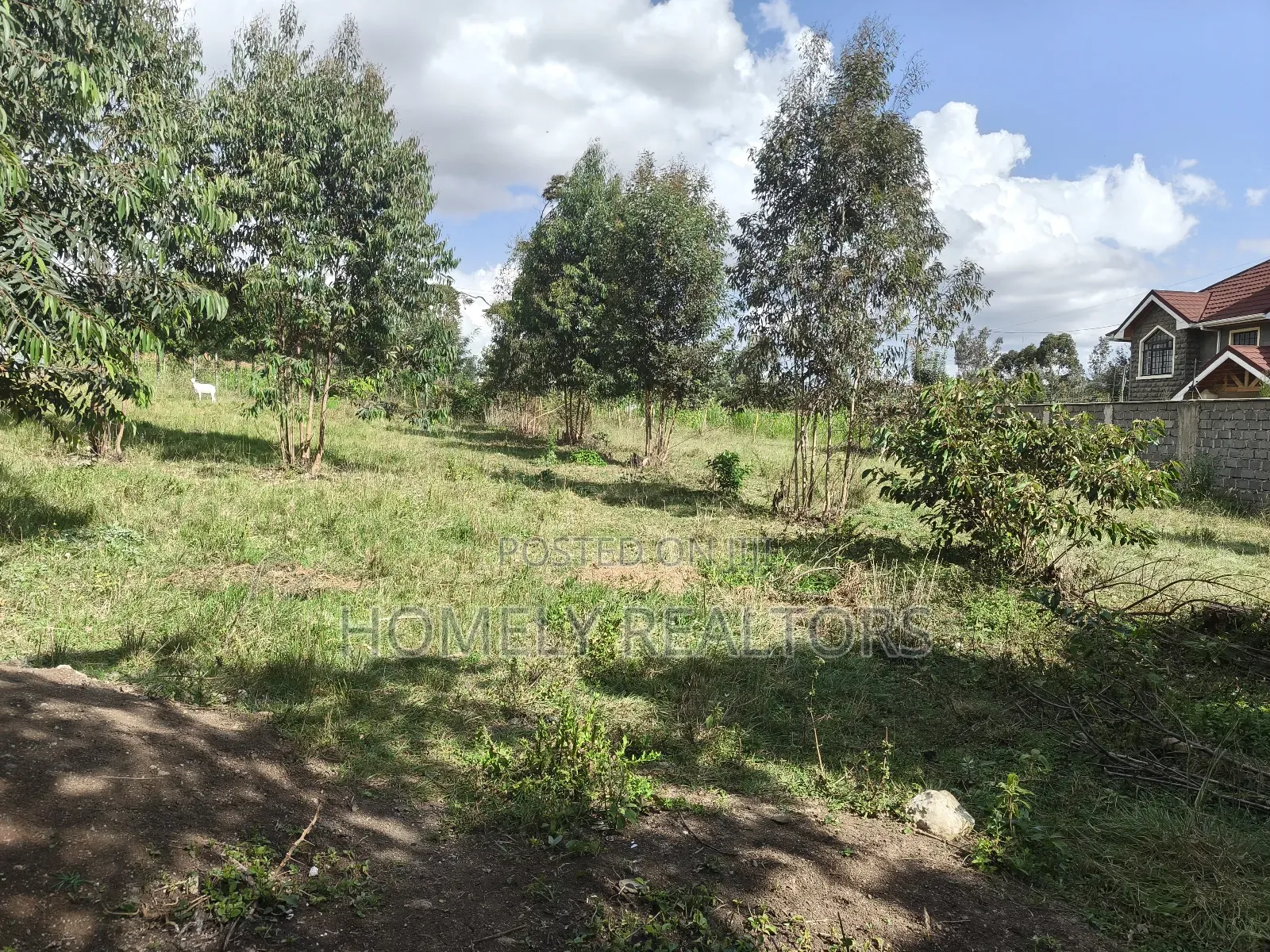 Residential Quarter Acre Plot in Ngong, Olkeri Near Tarmac in Ol Keri