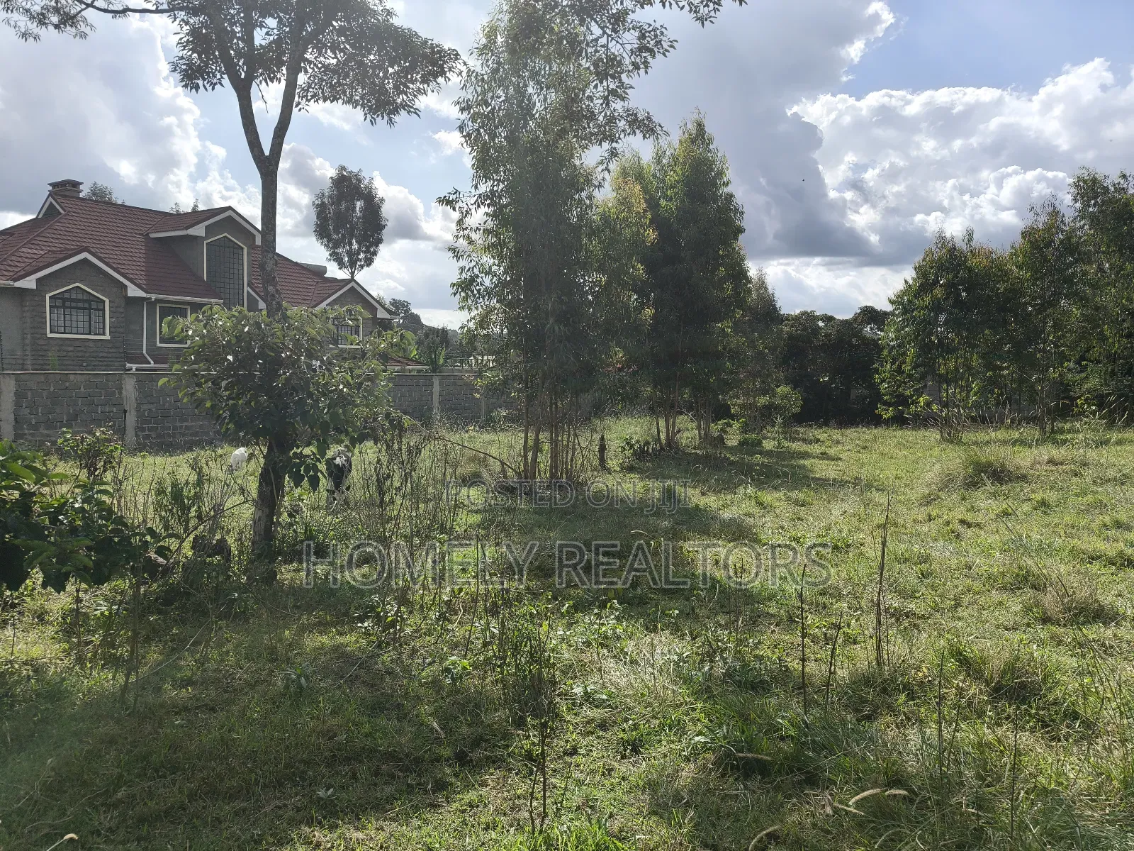 Half Acre Plot in Ngong, Olkeri Near Tarmac With Scenic View in Ol Keri