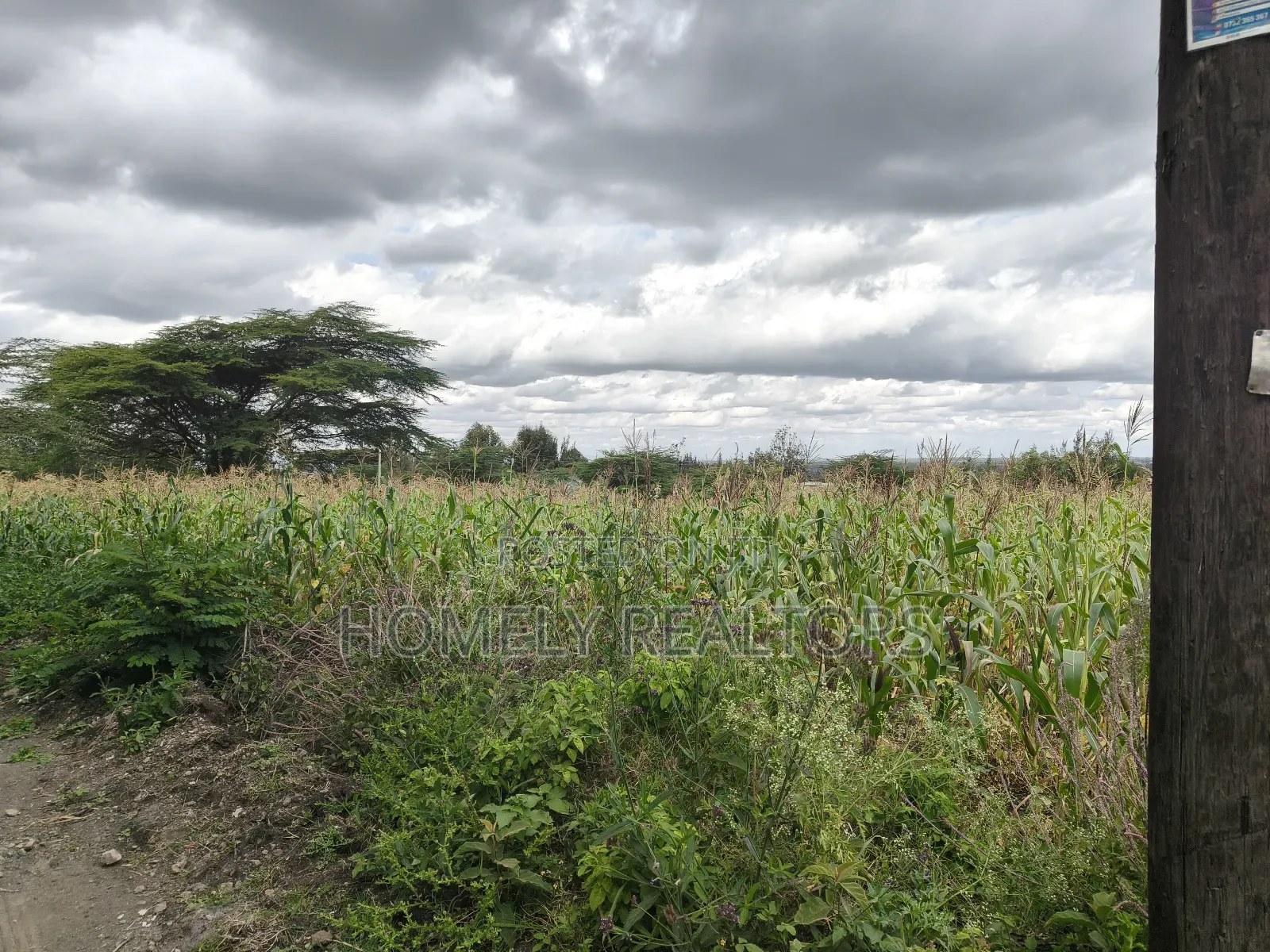 Quarter Acre Plot in Ngong, Matasia Along Merisho Road in Matasia