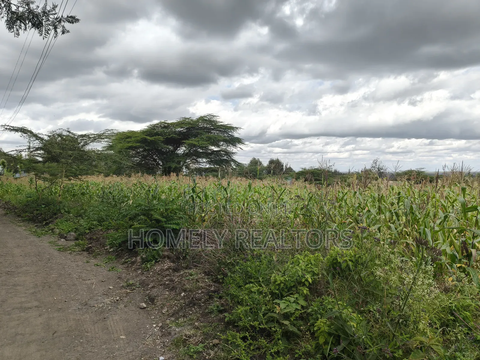 Quarter Acre Plot in Ngong, Matasia Along Merisho Road in Matasia