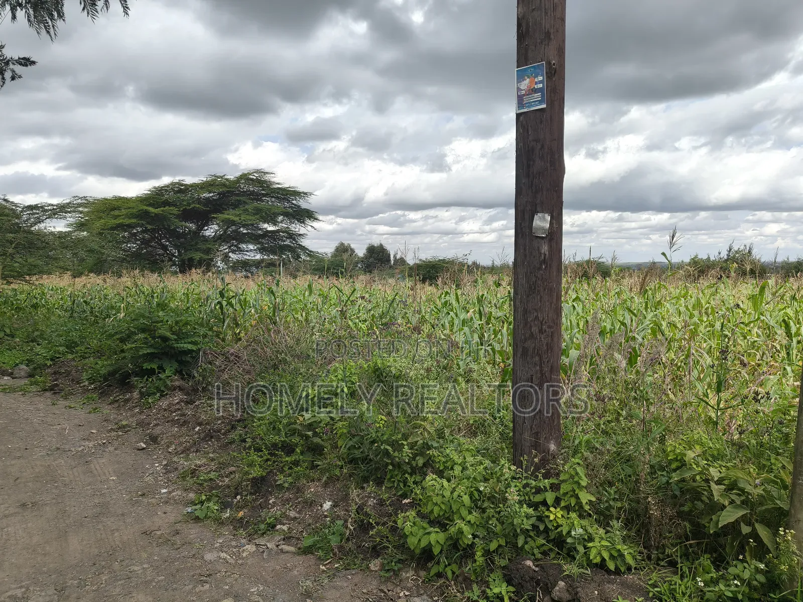 Quarter Acre Plot in Ngong, Matasia Along Merisho Road in Matasia