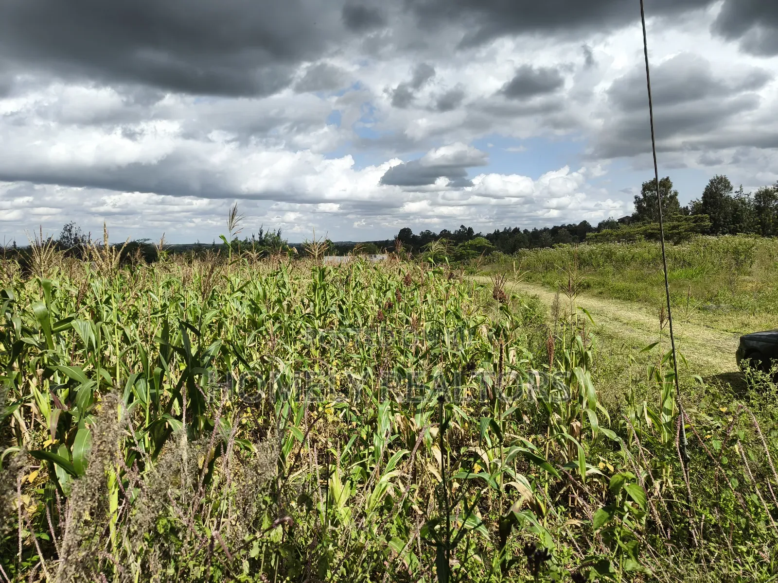 Quarter Acre Plot in Ngong, Matasia Along Merisho Road in Matasia