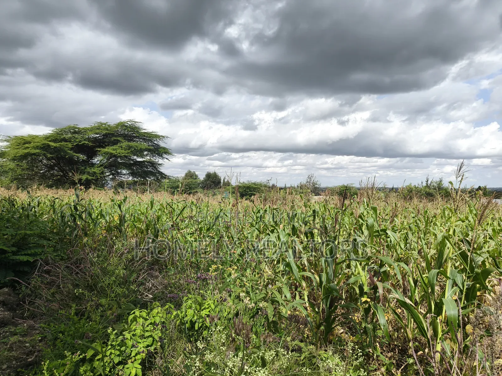 Eighth Acre Plot in Ngong, Matasia, Merisho Road Near Tarmac in Matasia