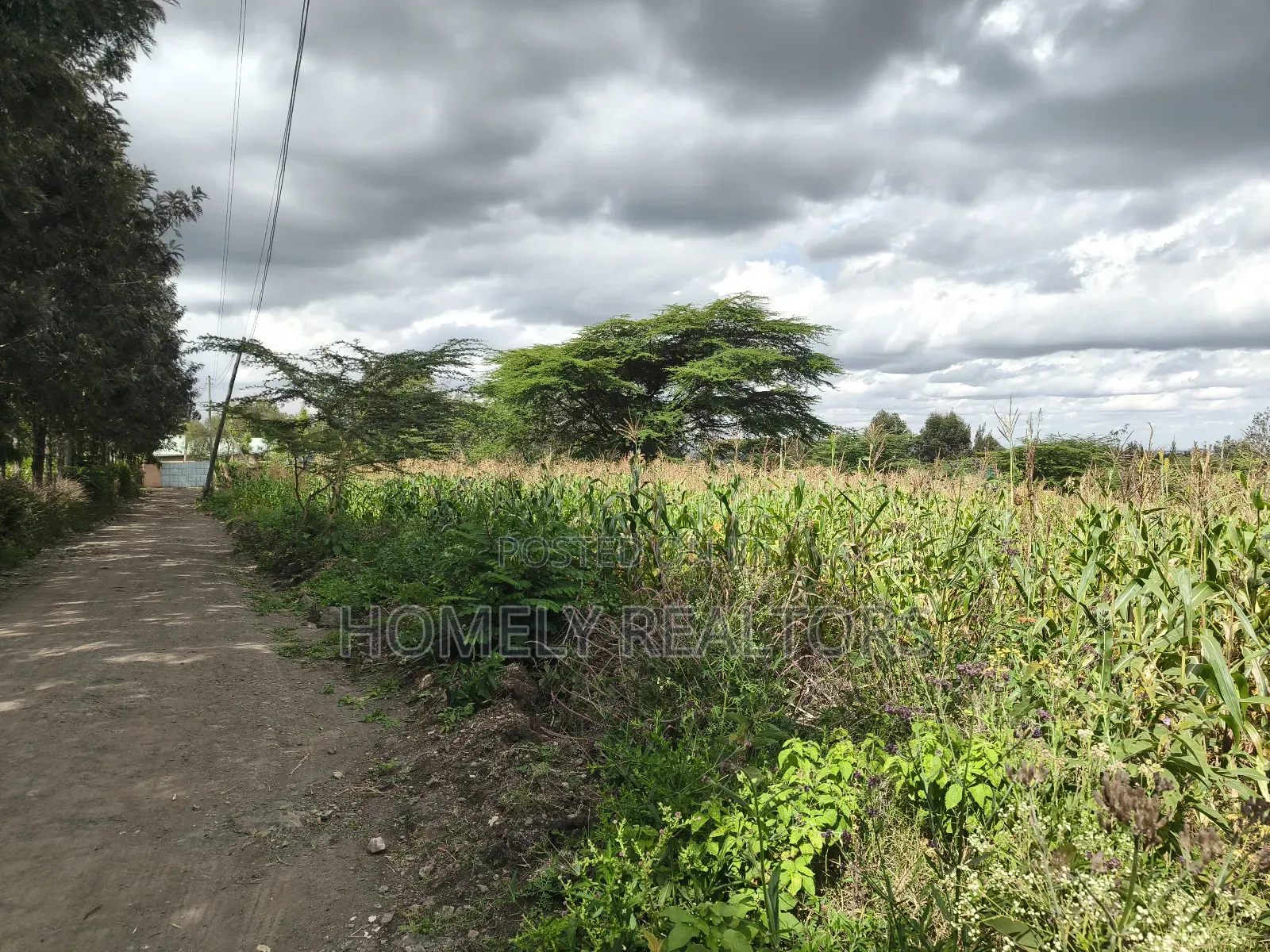 Eighth Acre Plot in Ngong, Matasia, Merisho Road Near Tarmac in Matasia