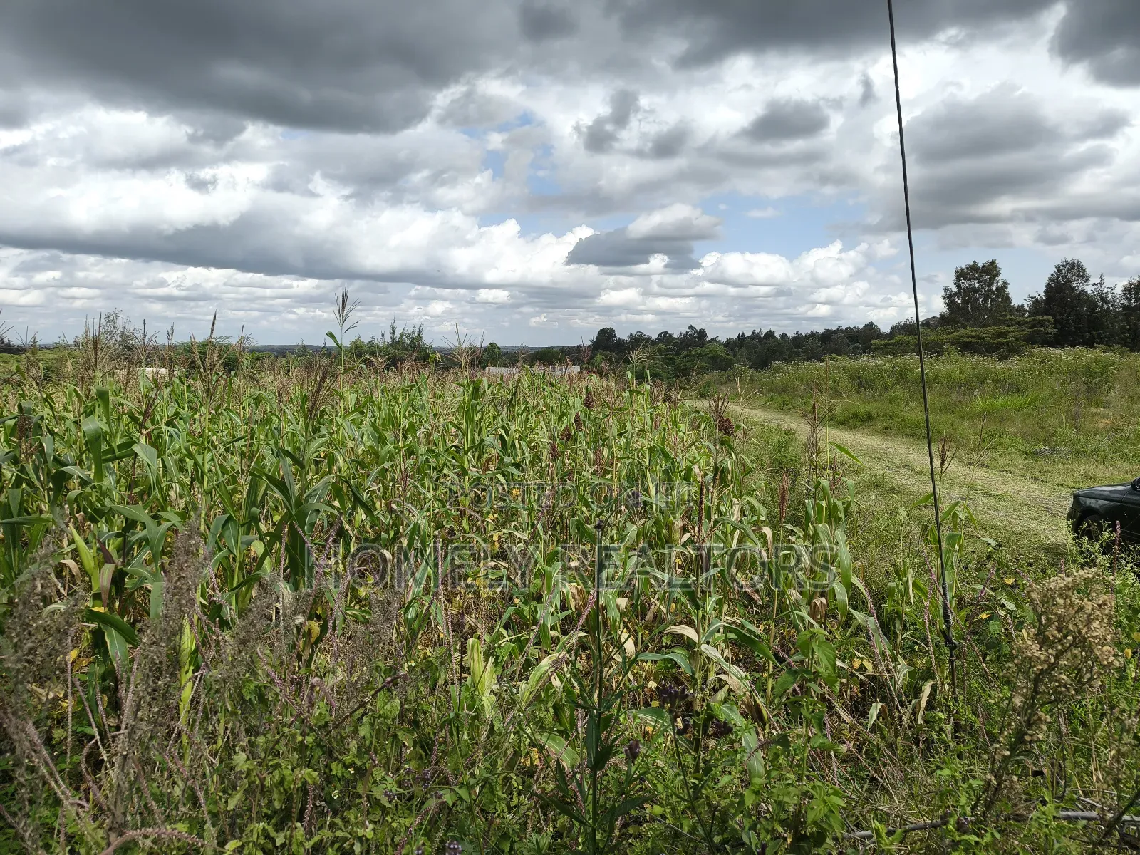 Eighth Acre Plot in Ngong, Matasia, Merisho Road Near Tarmac in Matasia