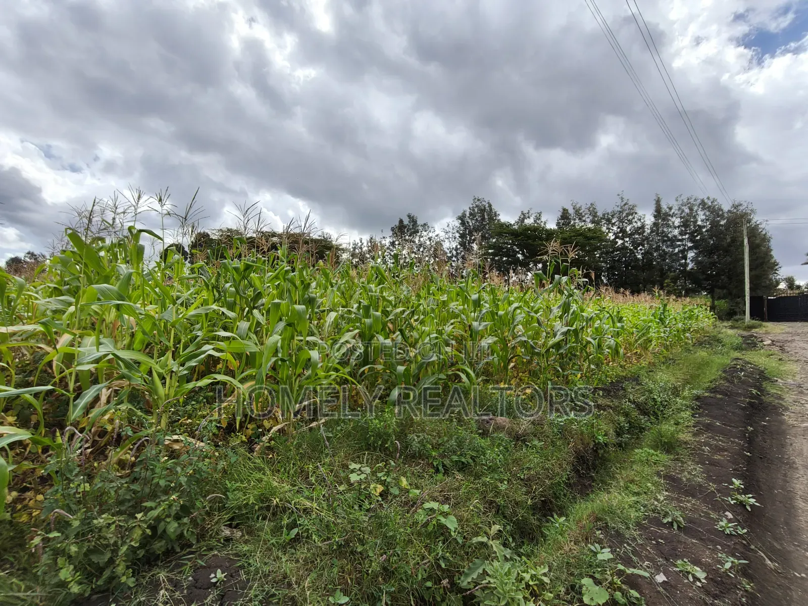Eighth Acre Plot in Ngong, Matasia, Merisho Road Near Tarmac in Matasia