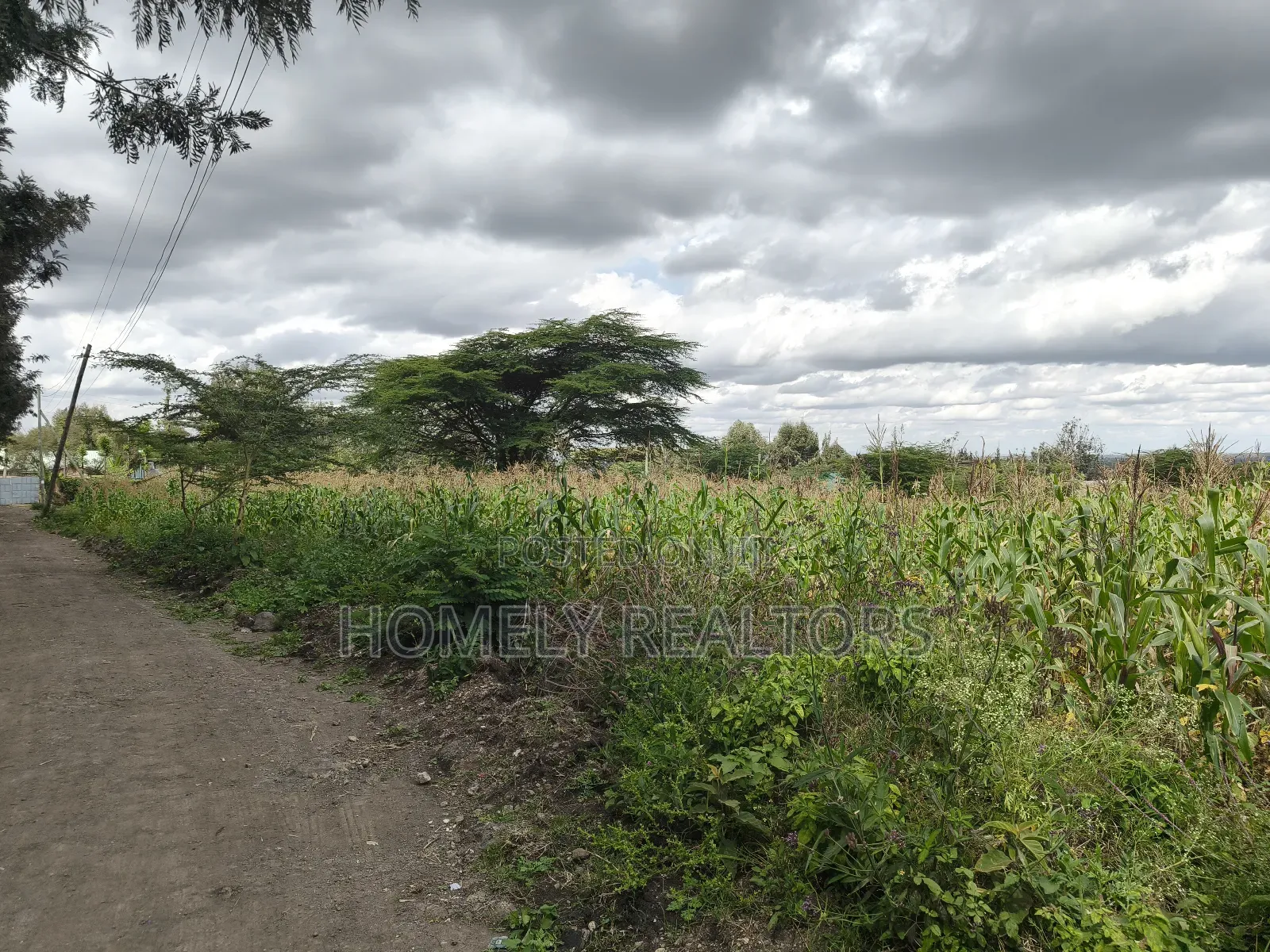 Eighth Acre Plot in Ngong, Matasia, Merisho Road Near Tarmac in Matasia