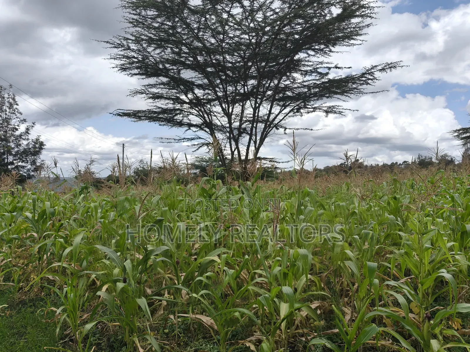 Half Acre Plot in Ngong Matasia Along Merisho Rd Near Tarmac in Matasia