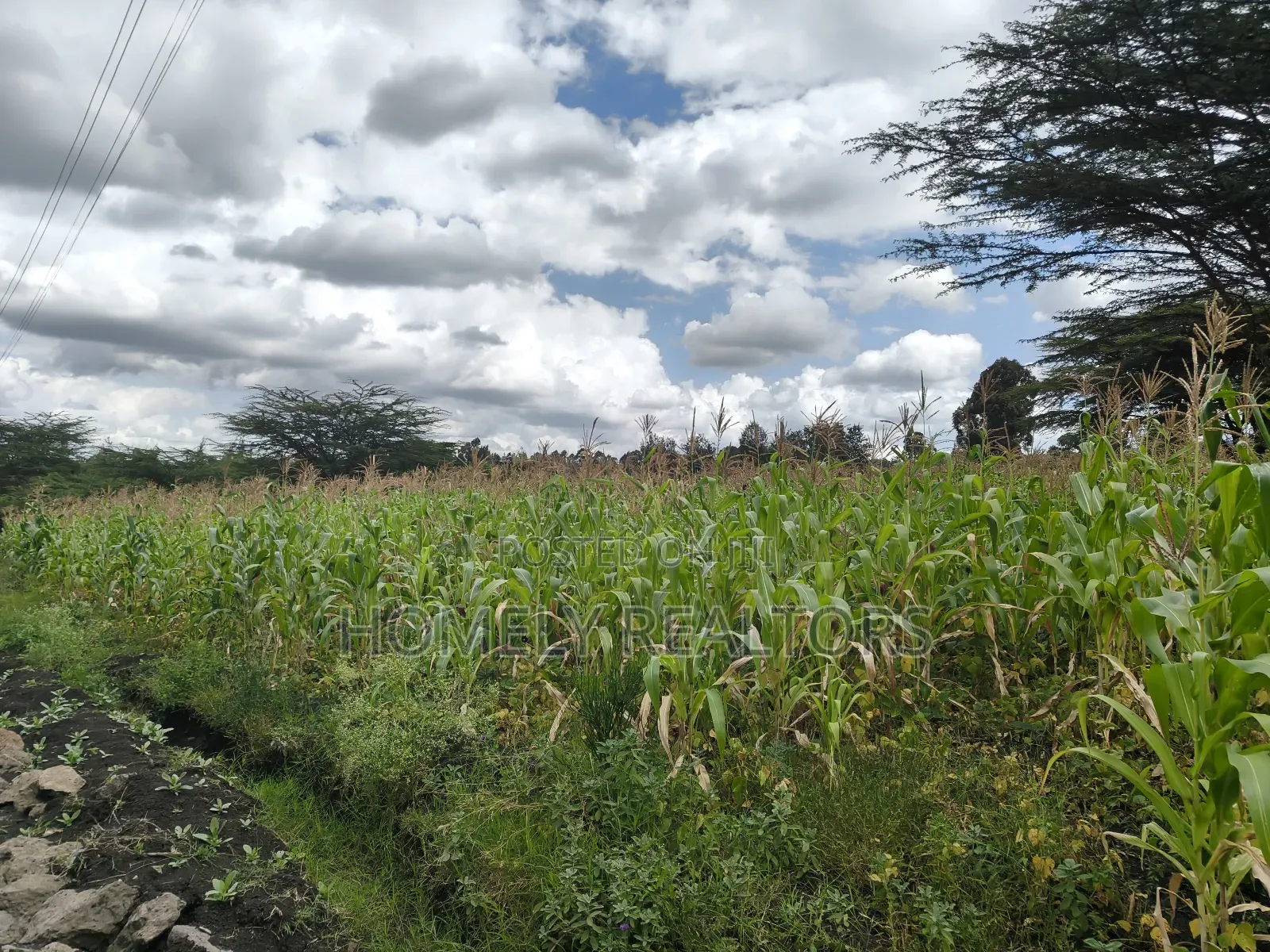 Half Acre Plot in Ngong Matasia Along Merisho Rd Near Tarmac in Matasia
