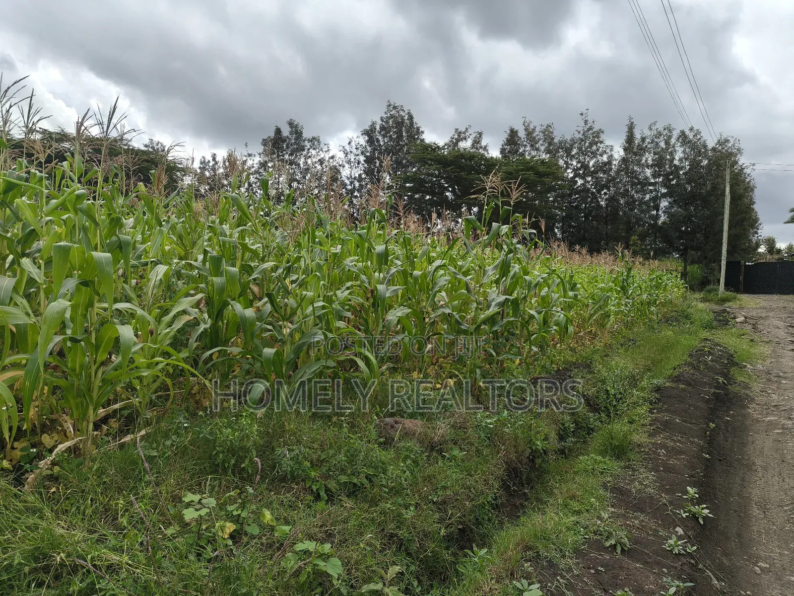 Half Acre Plot in Ngong Matasia Along Merisho Rd Near Tarmac in Matasia