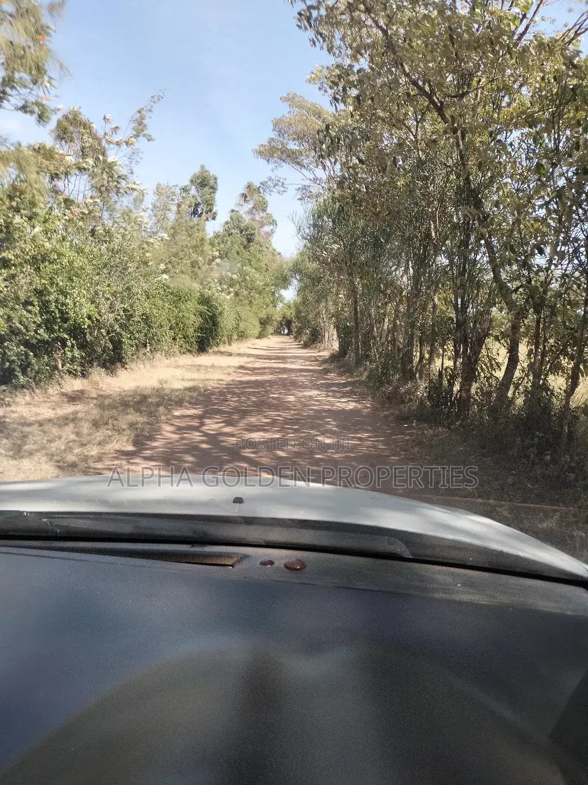 Thome , 50/100 Plots! in Mwiyogo