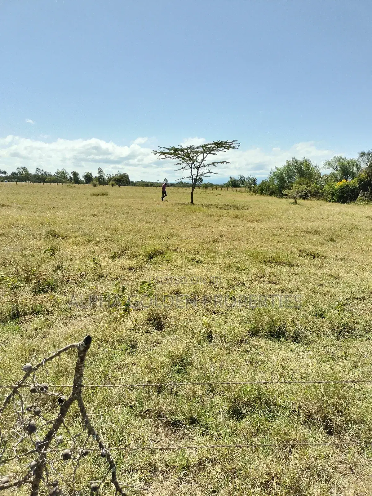 Thome , 50/100 Plots! in Mwiyogo