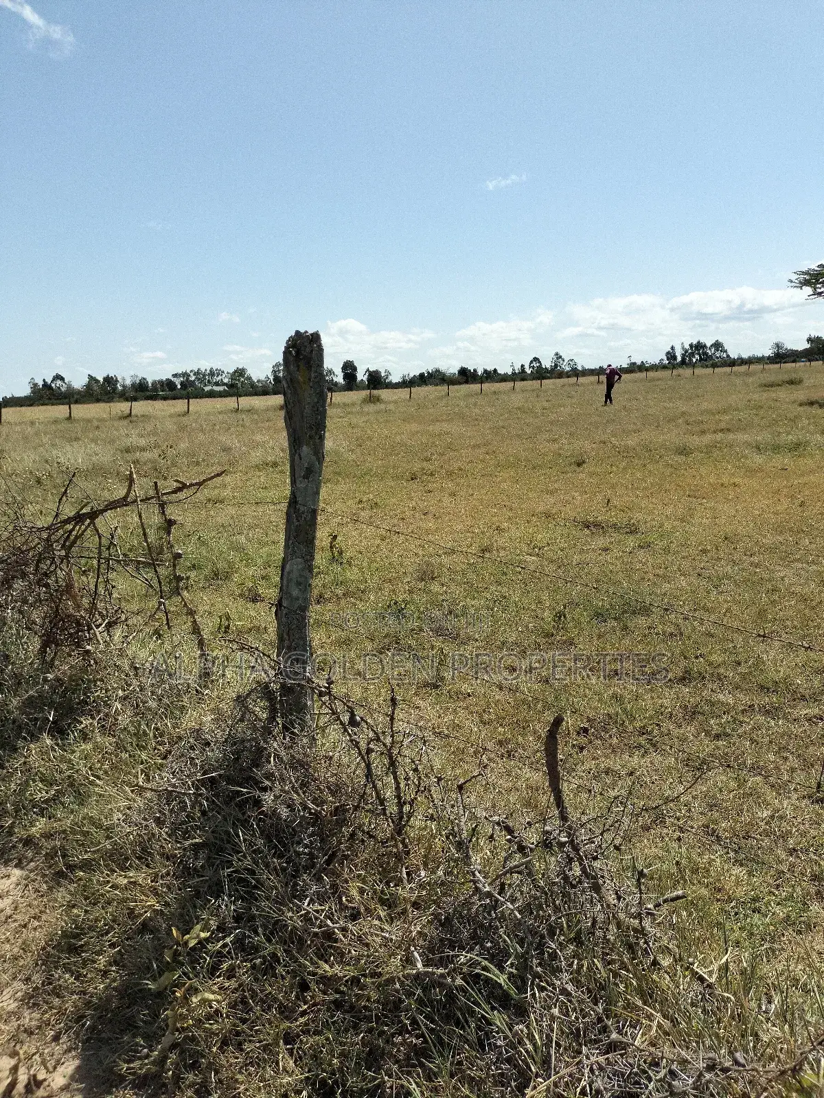 Thome , 50/100 Plots! in Mwiyogo