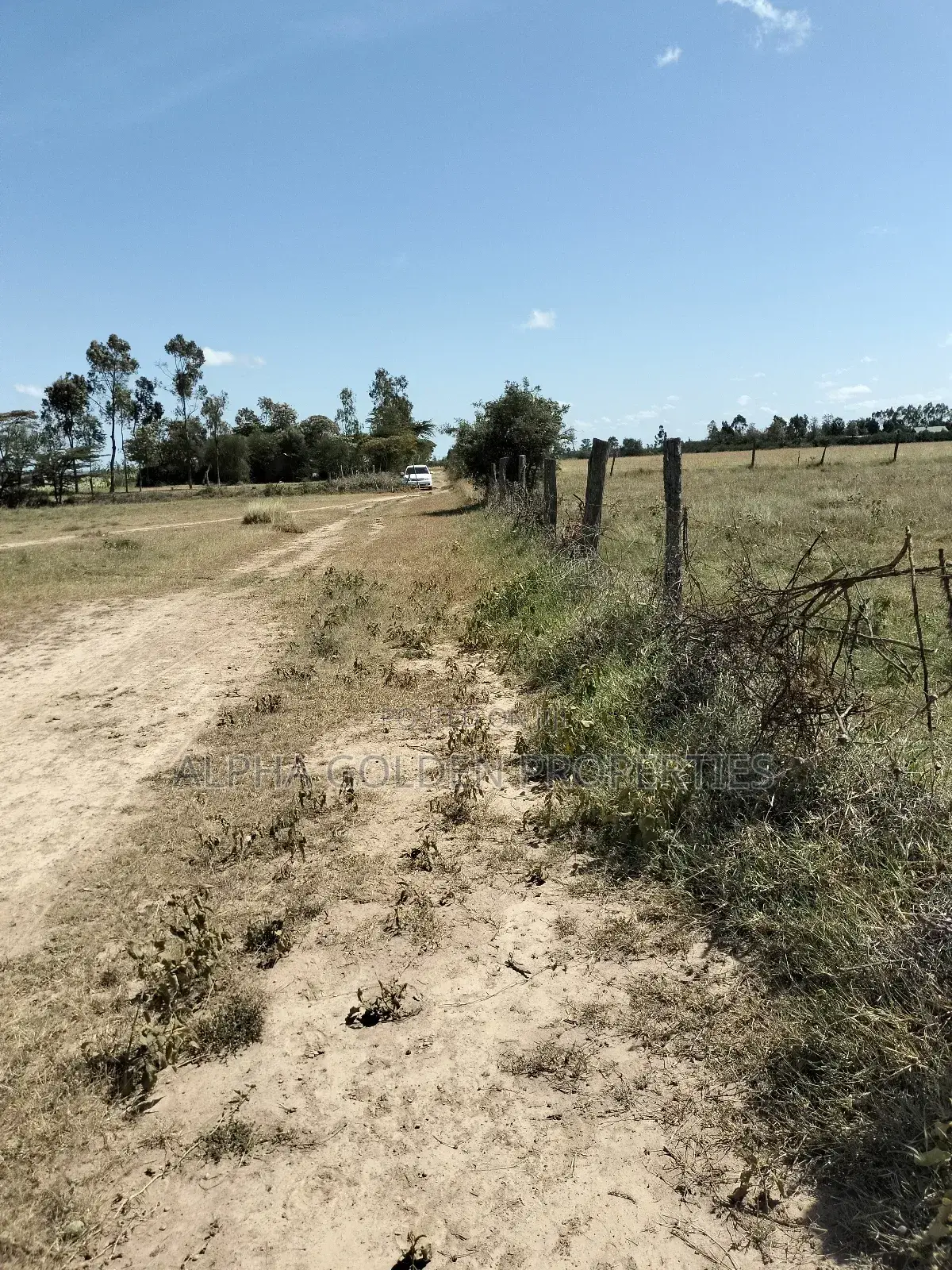 Thome , 50/100 Plots! in Mwiyogo