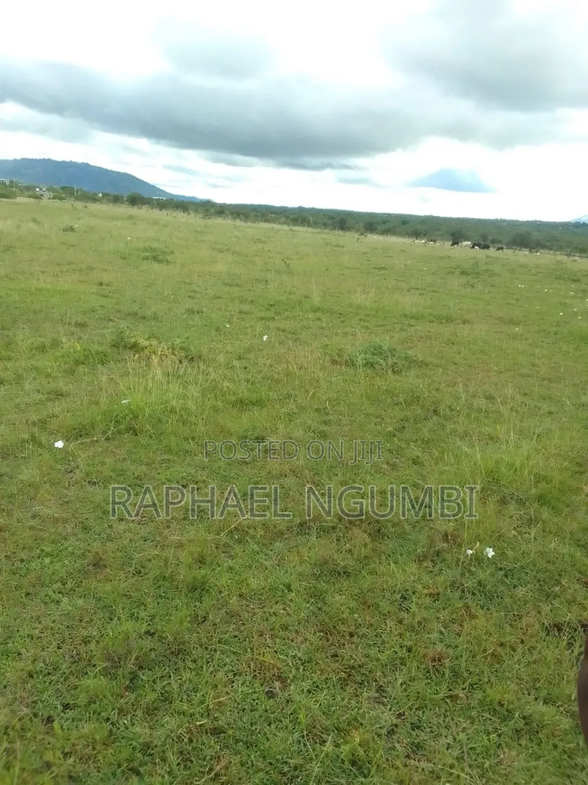 5 Prime Acres Touching Mombasa Road at Lukenya Maanzoni in Lukenya