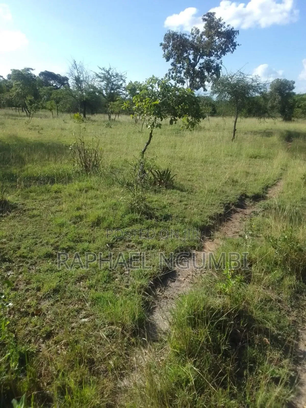 40 Acres at Kithimani Mamba in Kithimani